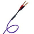 mdsc25 6.jpg