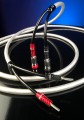 CLEARWAY X - Kabel głośnikowy z wtykami ChordOhmic- 2x2,0M 2.jpg
