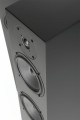 PYLON AUDIO Emerald HF czarny mat(2).JPG