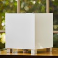 Tzero MKIII WHITE 4.jpg
