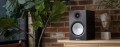 Silver 100 7G black oak baner.jpg