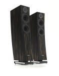 Pylon Audio Jasper 25 MKII Active Heban Marocco