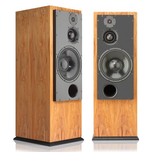 SCM100 SLT 1.jpg