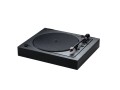 Pro-Ject A2 9.jpg