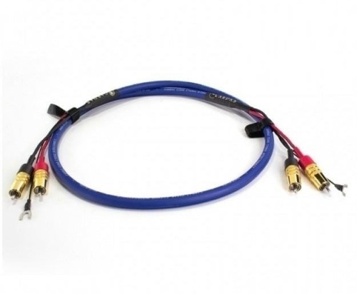 Clear Cygnus Phono rca-rca 1.jpg