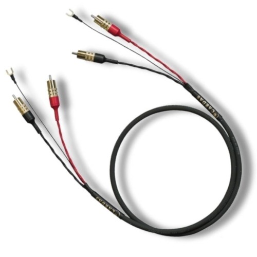 Iridium Phono RCA-RCA 1.jpg