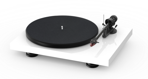 debut carbon evo biały 2.jpg