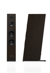 Pylon Audio Diamond 30 MKII Wenge okleina naturalna DĄB, lakier bezbarwny