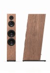 Pylon Audio Diamond 30 MKII Mahogany Machoń okleina natturalna DĄB, uszlachetniona olejowoskiem  