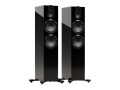 Gold 500 6G Black Gloss 1.jpg