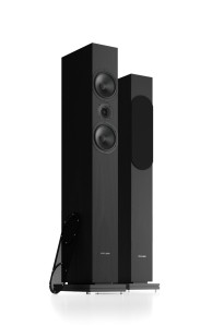 Pylon Audio Zirkon 20  okleina naturalna czarny Orzech Amerykański, lakier bezbarwny 0% gloss.