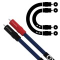CLEARWAY X RCA-RCA 1.jpg