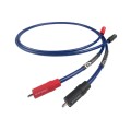 CLEARWAY X RCA-RCA 2.jpg