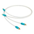 CHORD C-LINE 2.jpg