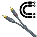 LEYLINE RCA-RCA 1.jpg