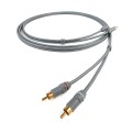 LEYLINE RCA-RCA 2.jpg