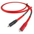 SHAWLINE X RCA-RCA 2.jpg