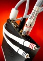 SARUM T RCA-RCA 4.jpg