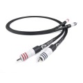 SIGNATURE X RCA-RCA 3.jpg