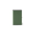ARIA EVO X N°1 MOSS GREEN HIGH 6.jpg