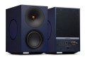 L-R X Blue 2.jpg