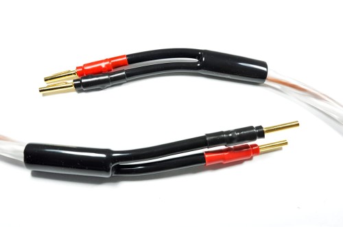 MELODIKA BSSC3315(2).jpg