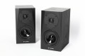 PYLON AUDIO SAPPHIRE SAT CZARNE.jpg