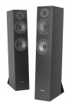 Pylon Audio Emerald 25 Czarny Mat